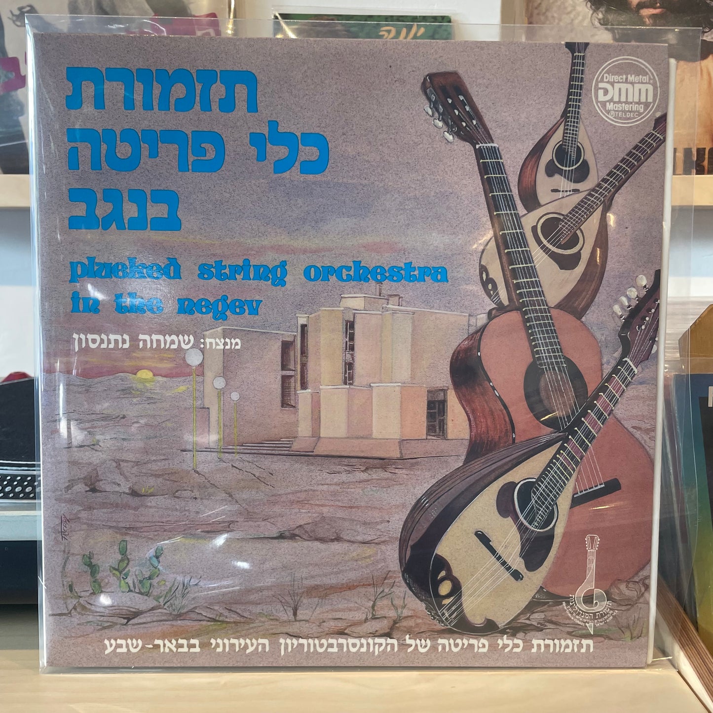 תזמורת כלי פריטה של הקונסרבטוריון העירוני בבאר שבע - תזמורת כלי פריטה בנגב