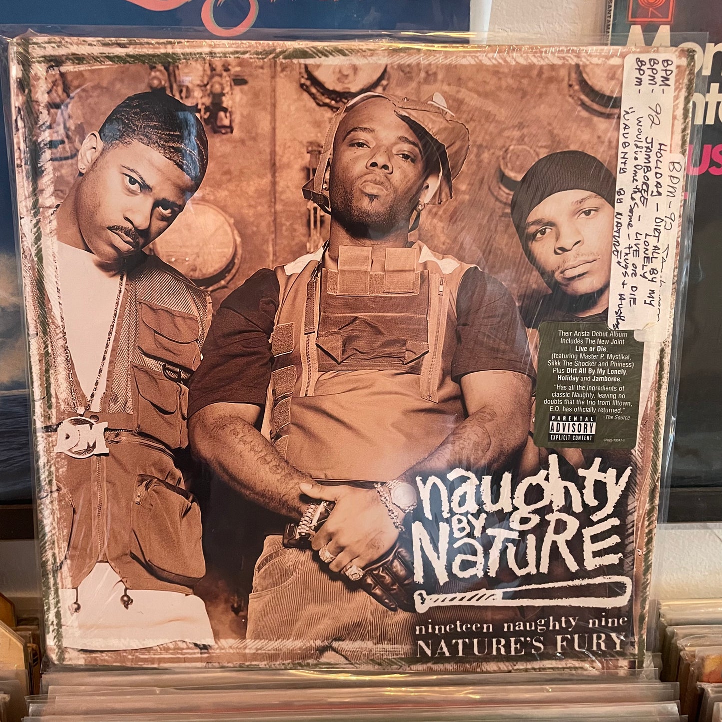 Naughty by nature - nineteen naughty nine nature’s fury