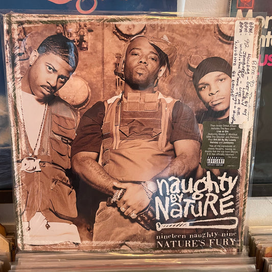Naughty by nature - nineteen naughty nine nature’s fury