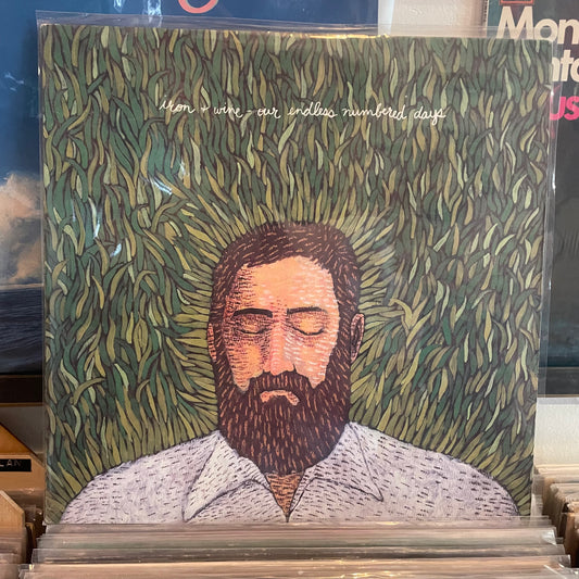 Iron & wine - our endless numbered days