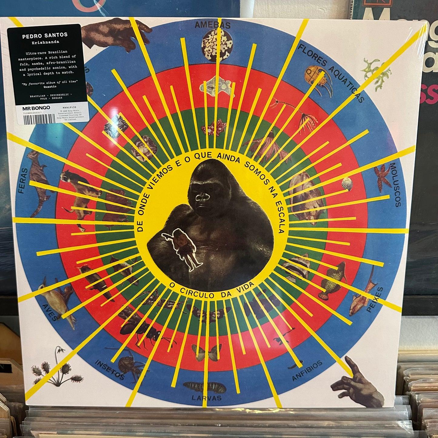 Pedro Santos - Krishnanda