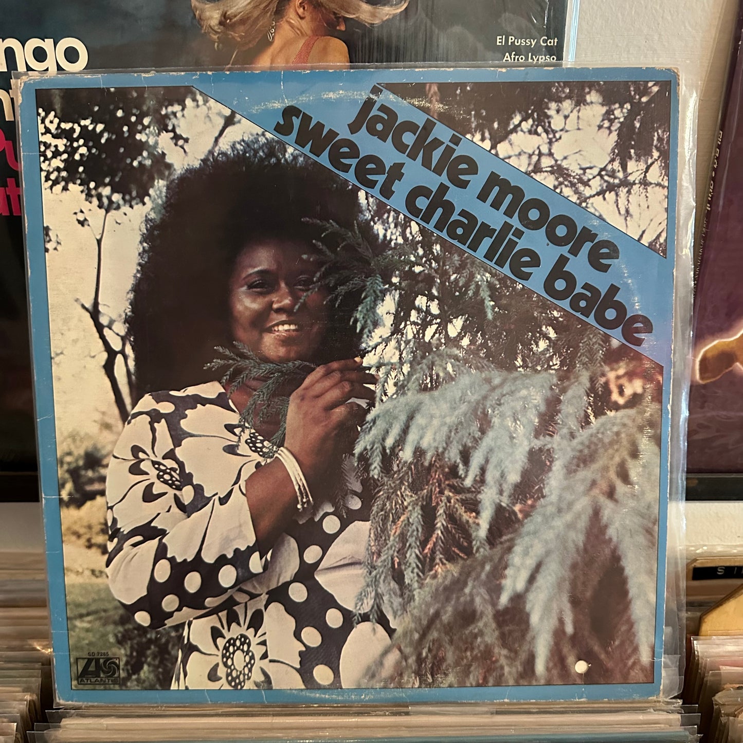 Jackie Moore - sweet Charlie babe