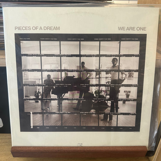 Pieces of a dream - we are one