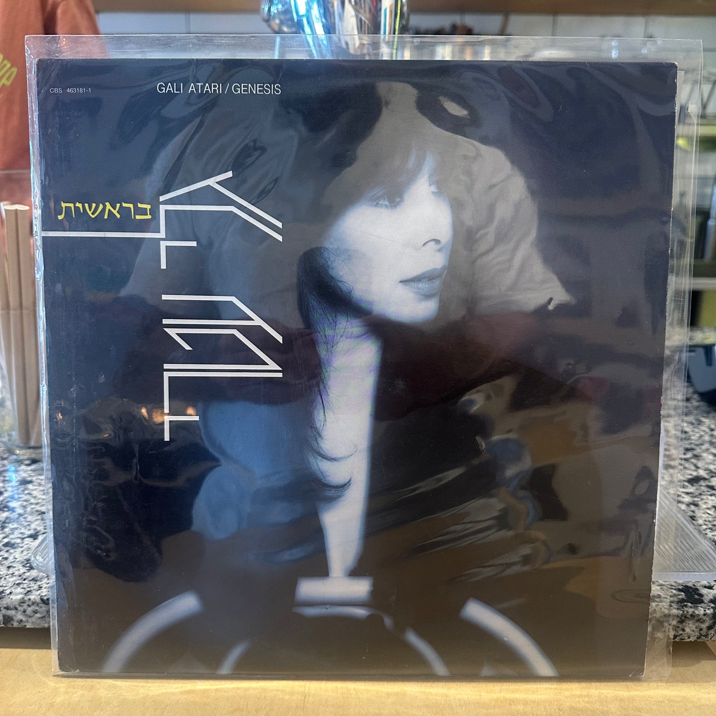 גלי עטרי - בראשית