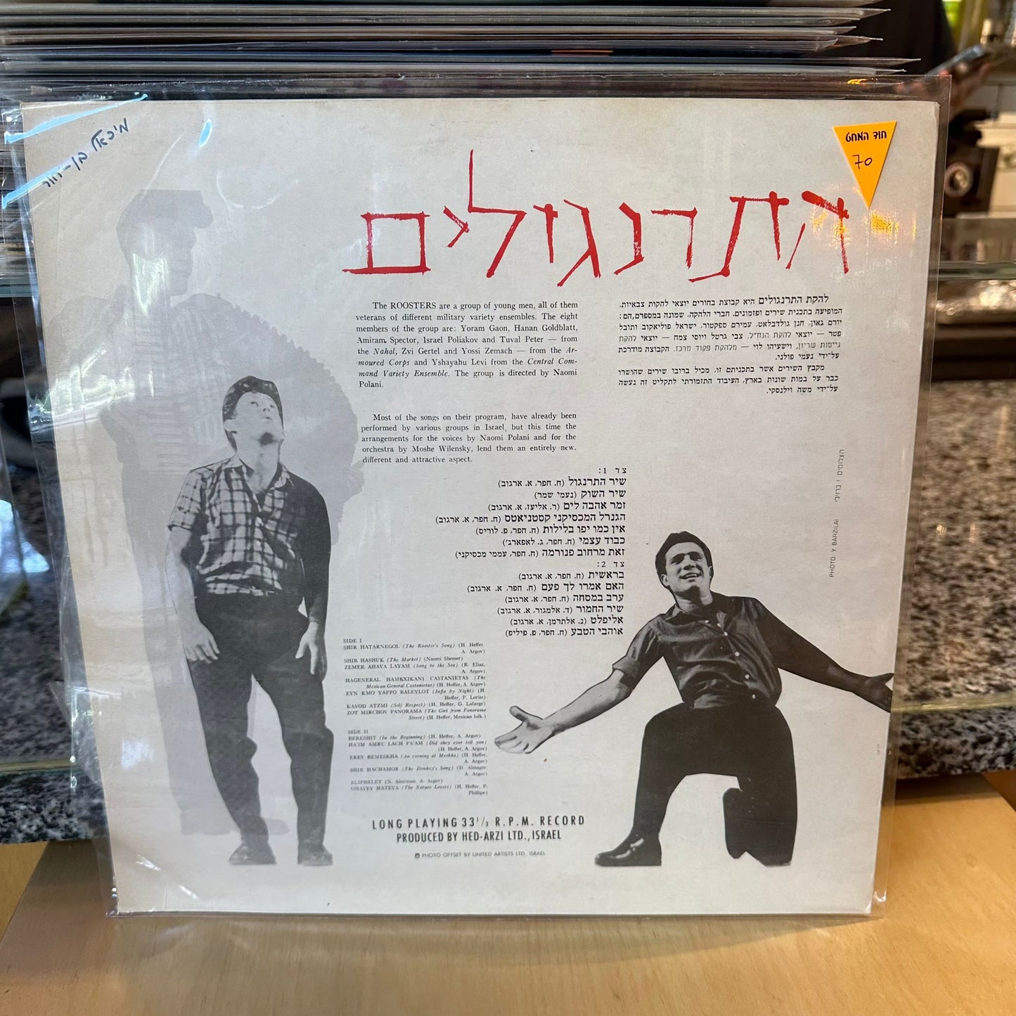 התרנגולים - התרנגולים