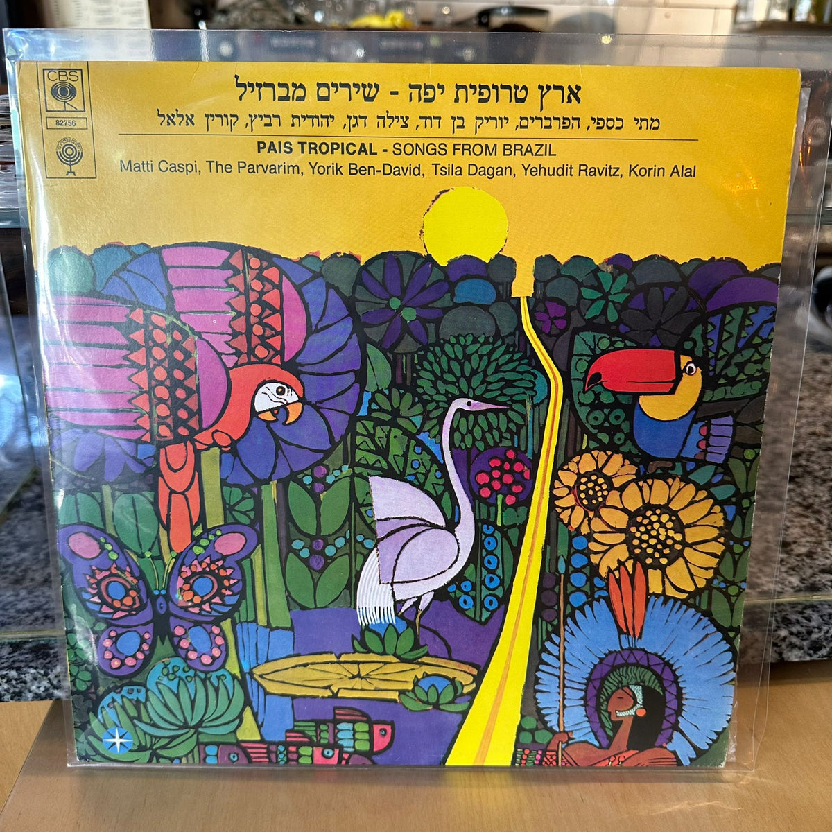 מתי כספי הפרברים יוריק בן דוד מילה דגן יהודית רביץ קורין אלאל - ארץ טרופית יפה שירים מברזיל