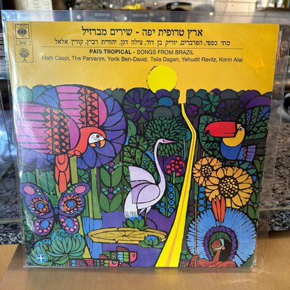 מתי כספי הפרברים יוריק בן דוד מילה דגן יהודית רביץ קורין אלאל - ארץ טרופית יפה שירים מברזיל