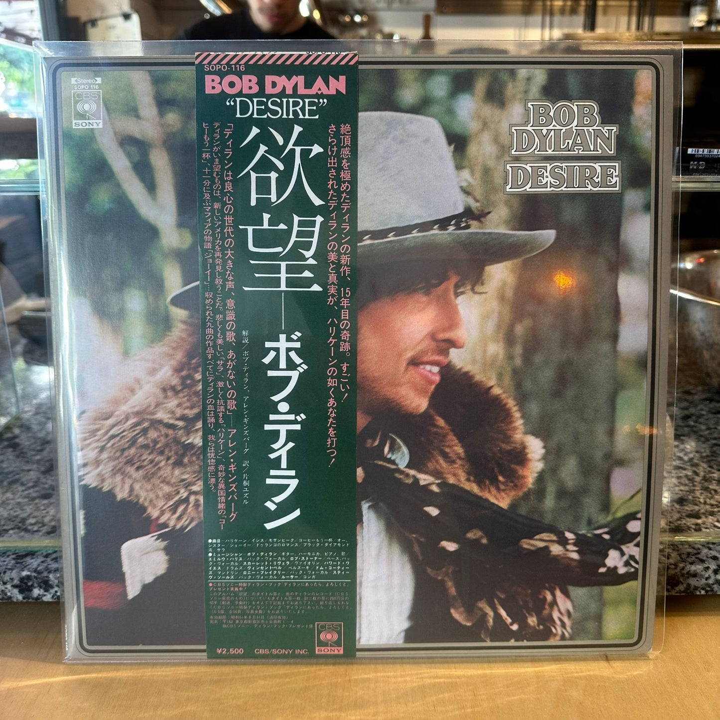 Bob Dylan - Desire