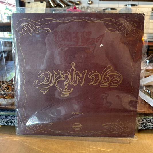גרי אקשטיין משה לוי - פטה מורגנה