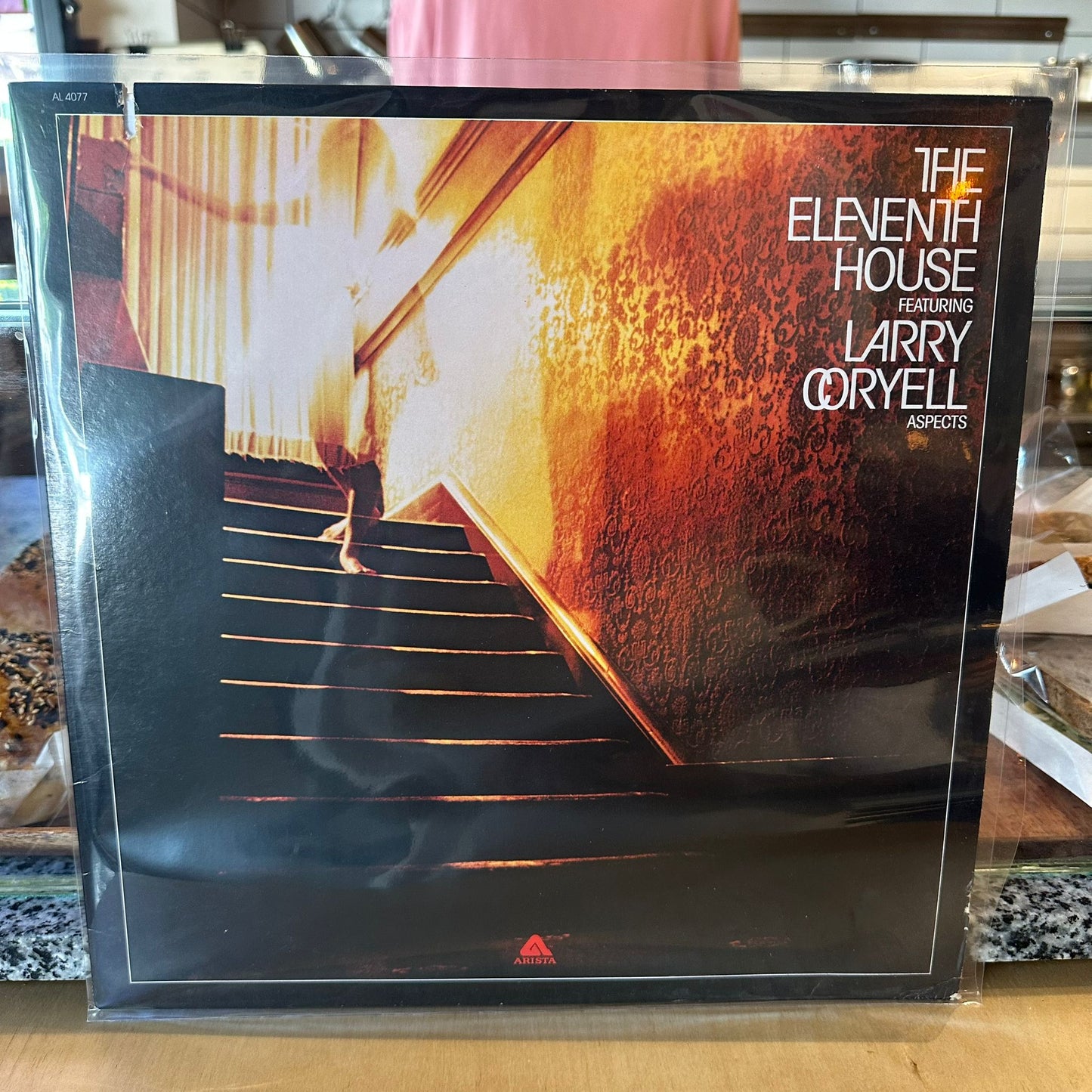 The Eleventh House Featuring Larry Coryell - Aspects
