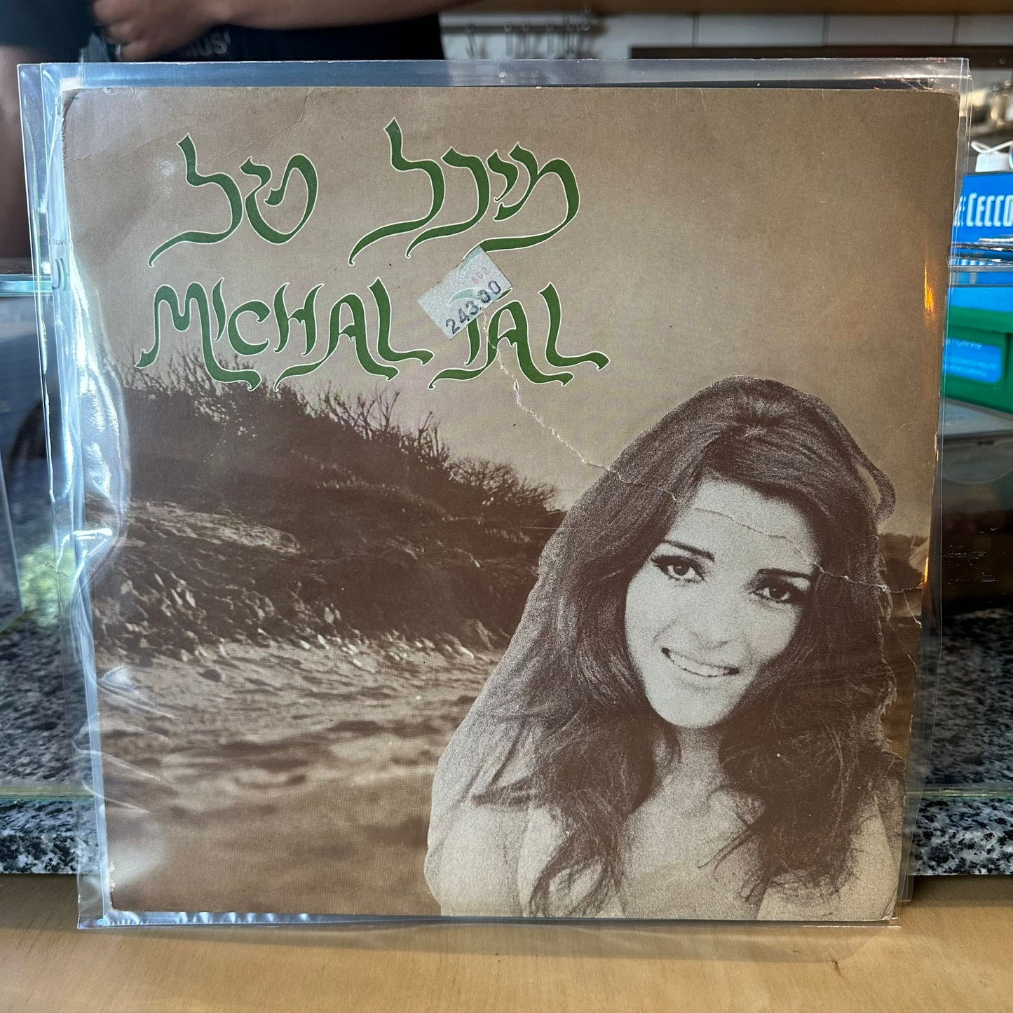 מיכל טל - מיכל טל