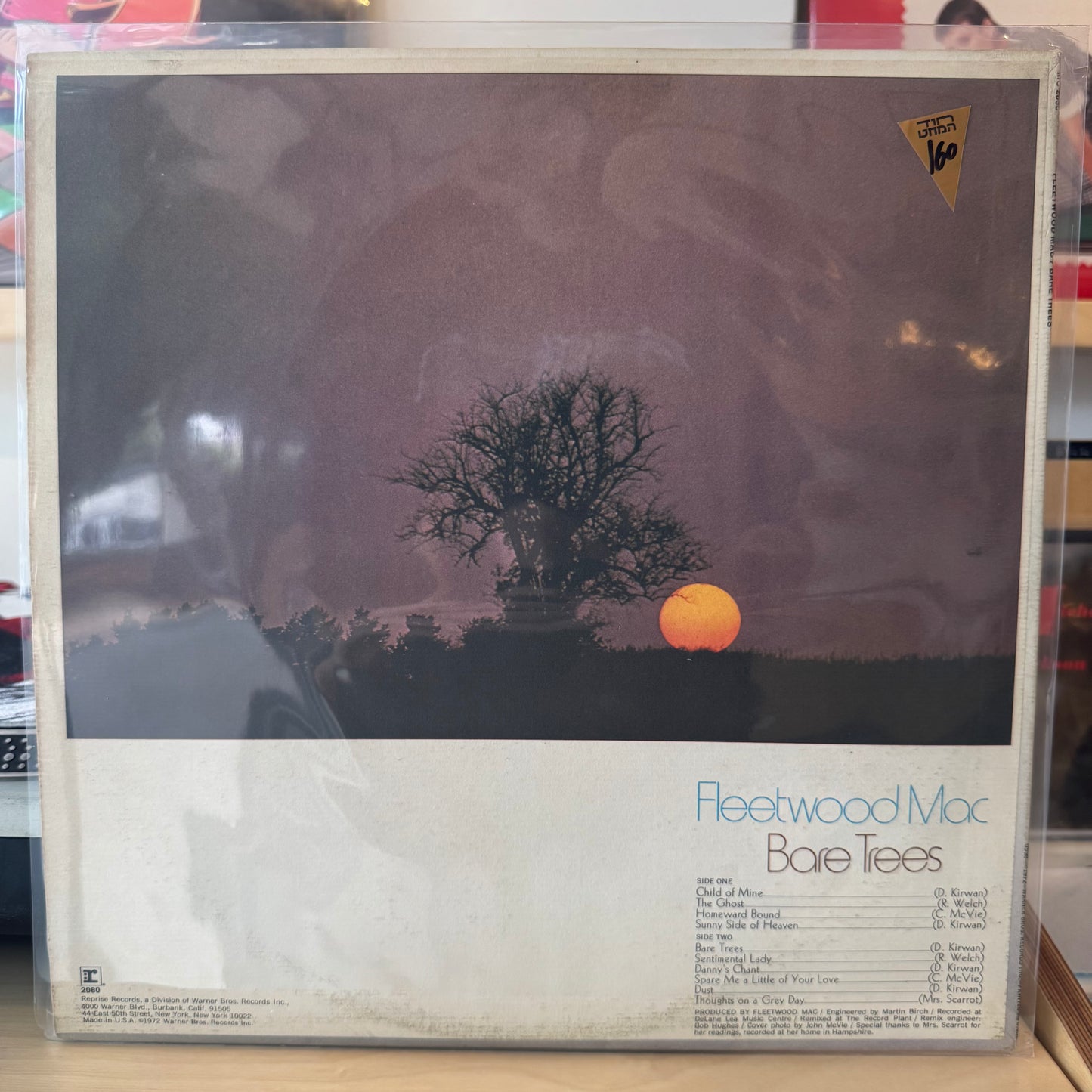 Fleetwood Mac - Bare Trees
