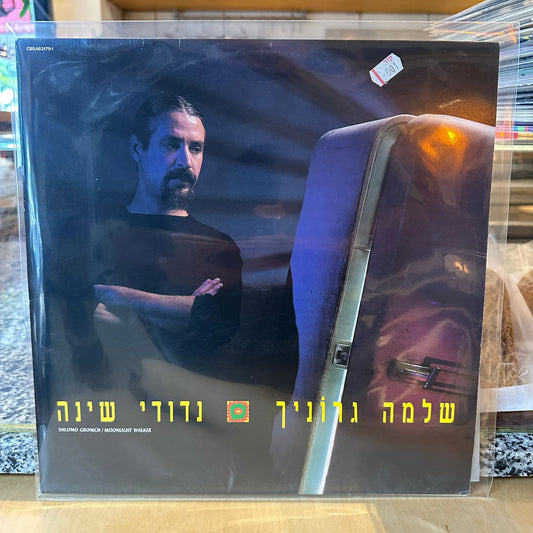 שלמה גרוניך - נדודי שינה