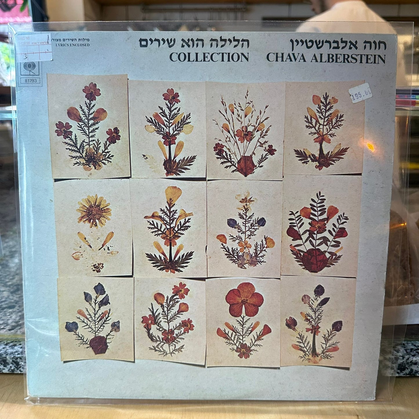 חווה אלברשטיין - הלילה הוא שירים