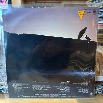 אריק סיני - צל כבד