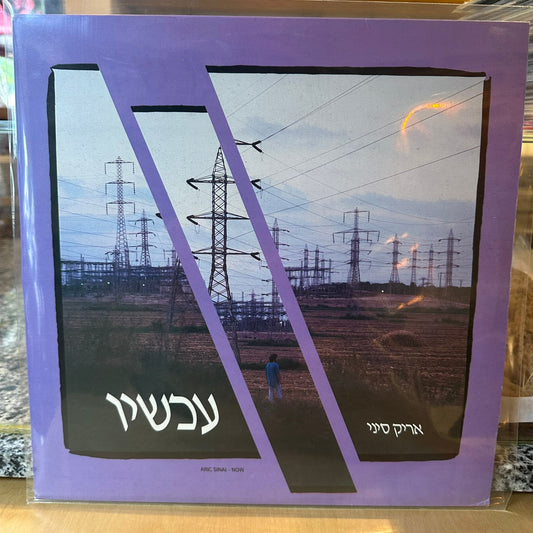 אריק סיני - עכשיו