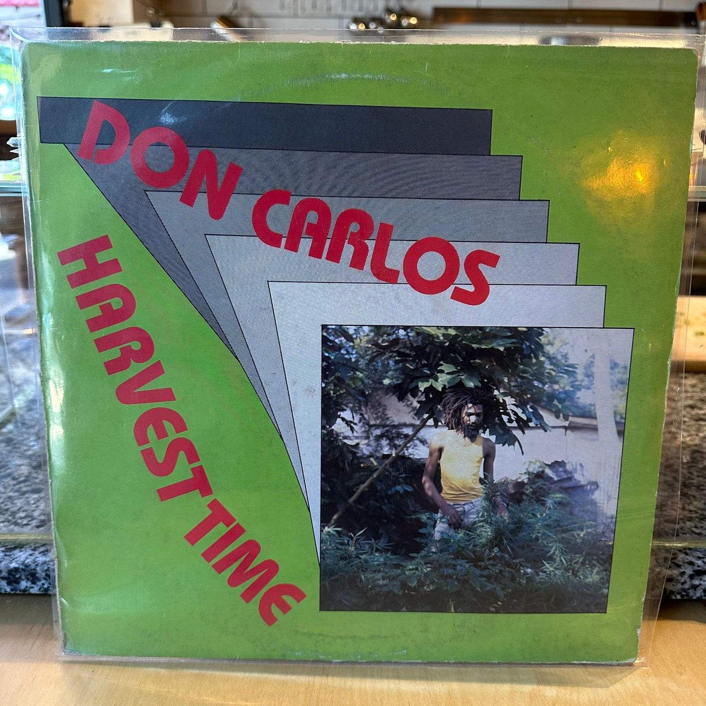 Don Carlos - Harvest Time
