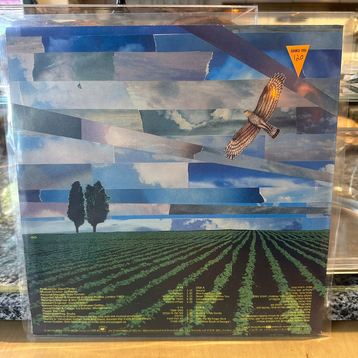 אריק סיני - בסוף מעגל