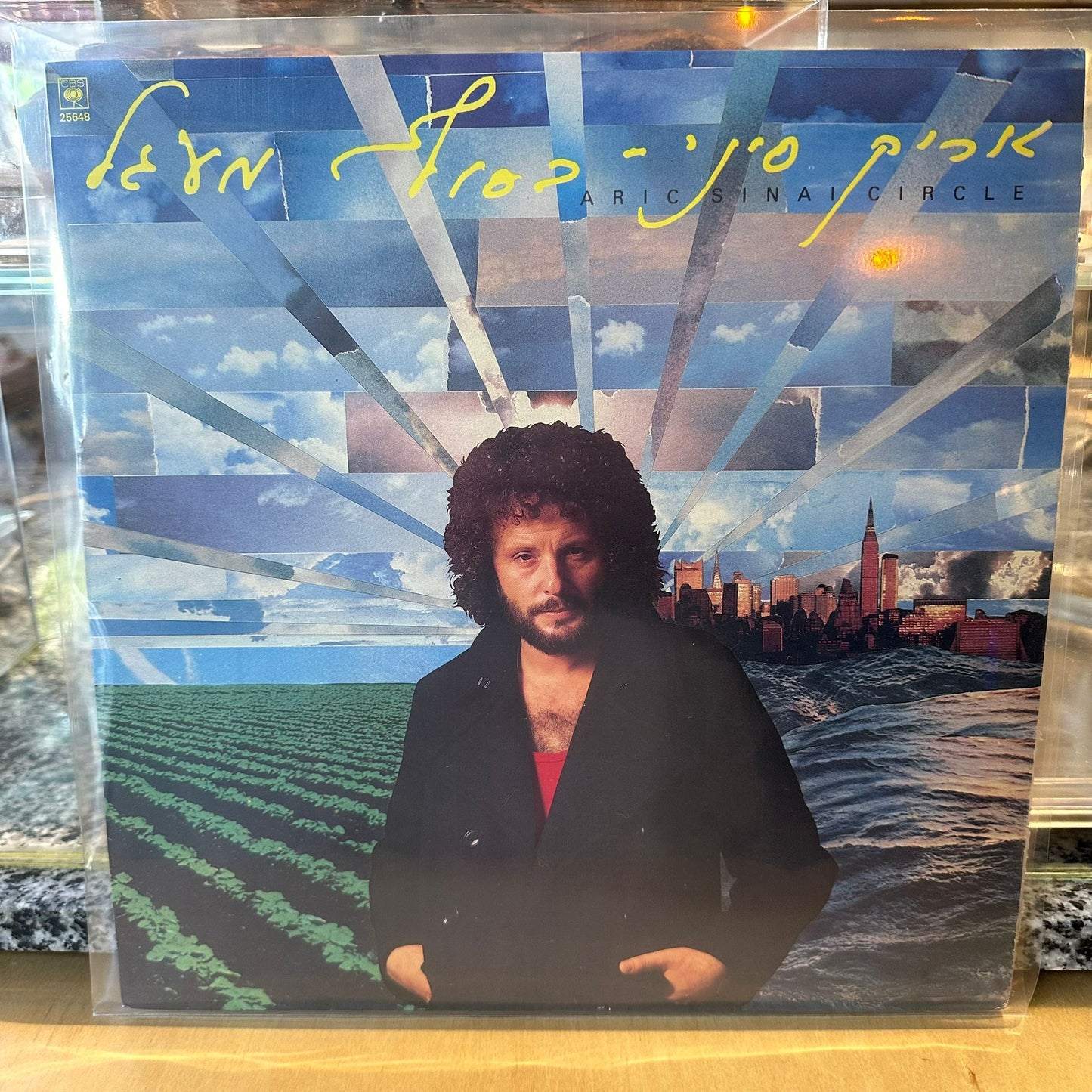 אריק סיני - בסוף מעגל