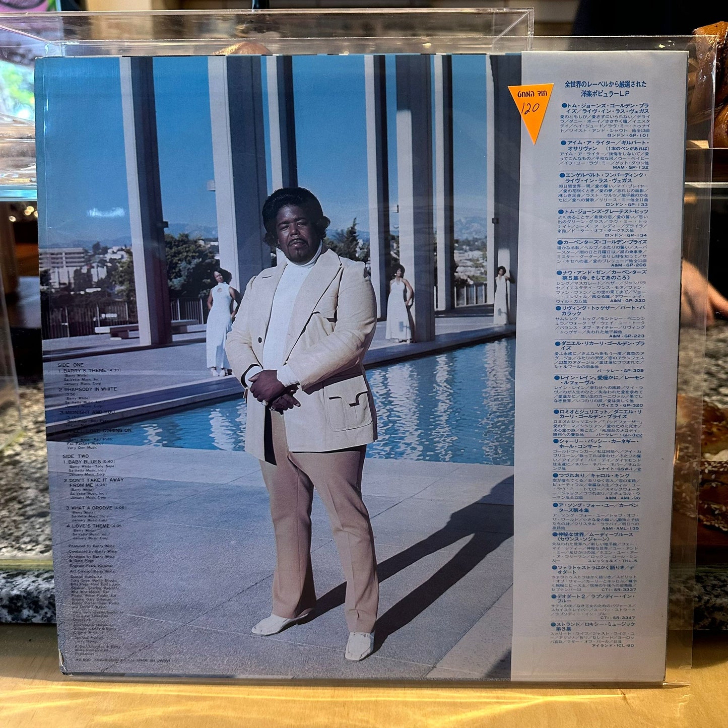 The love unlimited orchestra - rhapsody in white