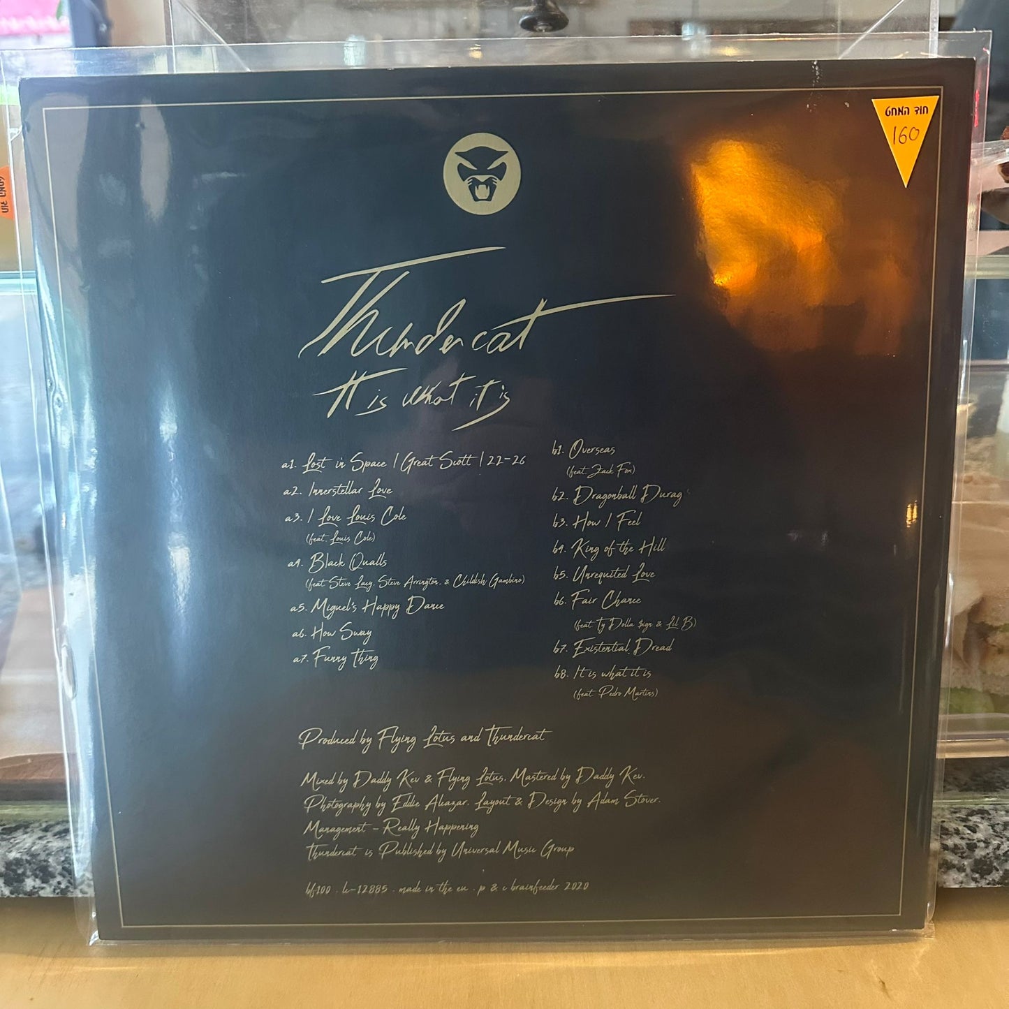 Thundercat - It Is What It Is