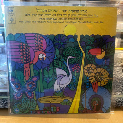 מתי כספי הפרברים יוריק בן דוד מילה דגן יהודית רביץ קורין אלאל - ארץ טרופית יפה שירים מברזיל