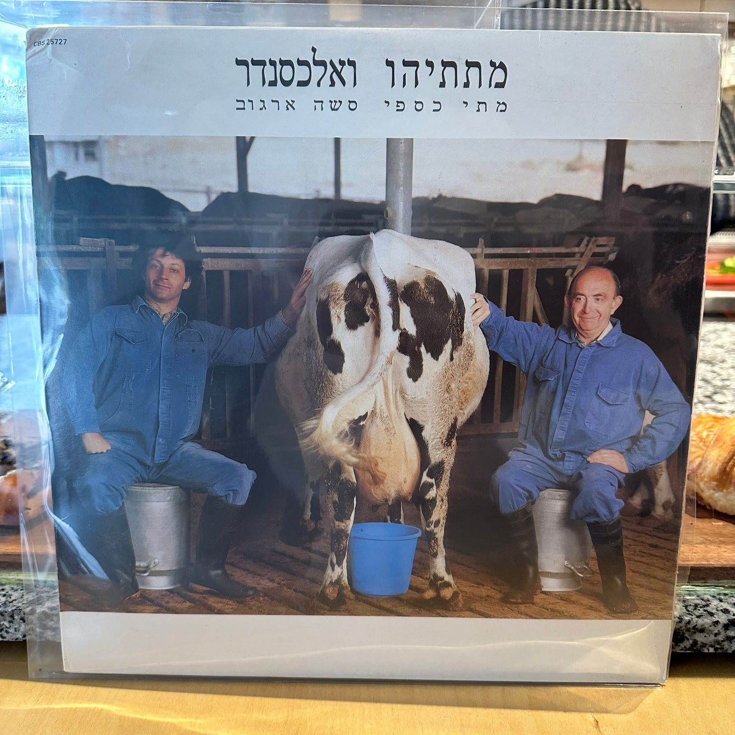 מתי כספי סשה ארגוב - מתתיהו ואלכסנדר
