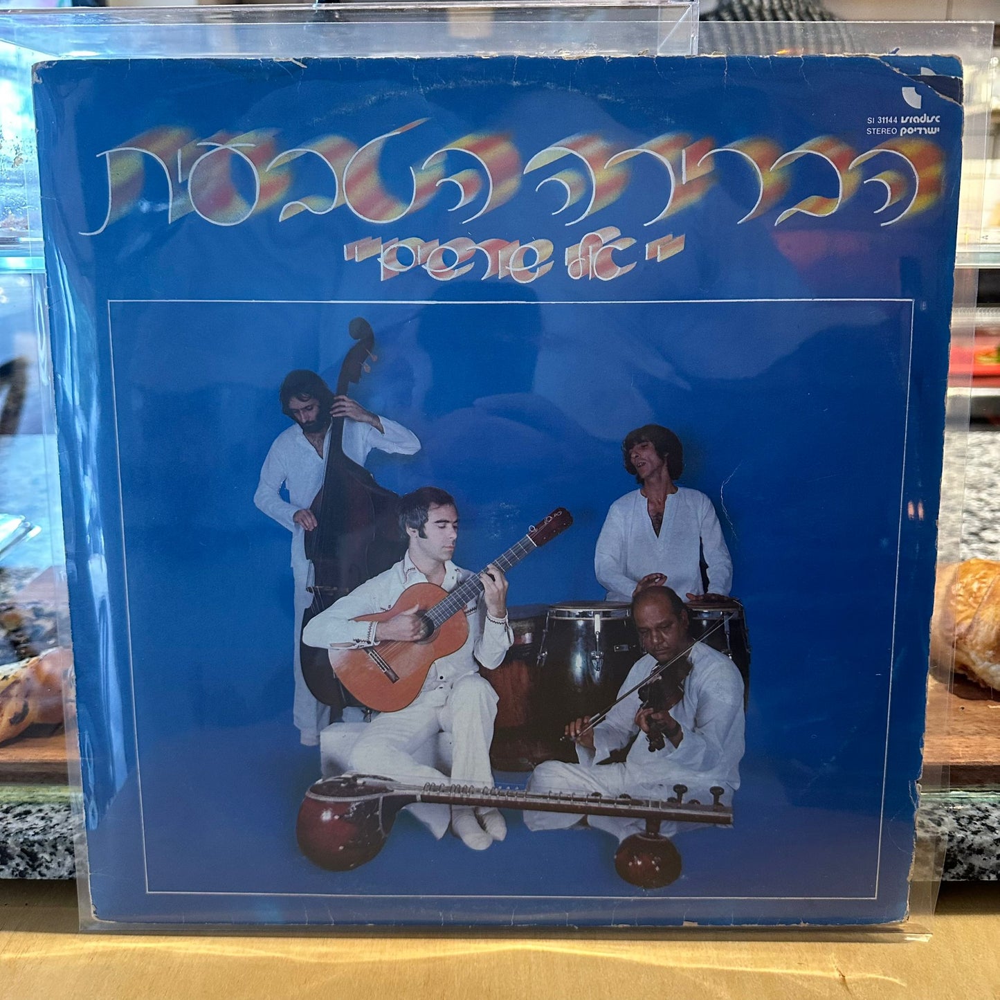 הברירה הטבעית - אלי שורשים