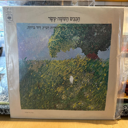 הכבש הששה עשר - הכבש הששה עשר