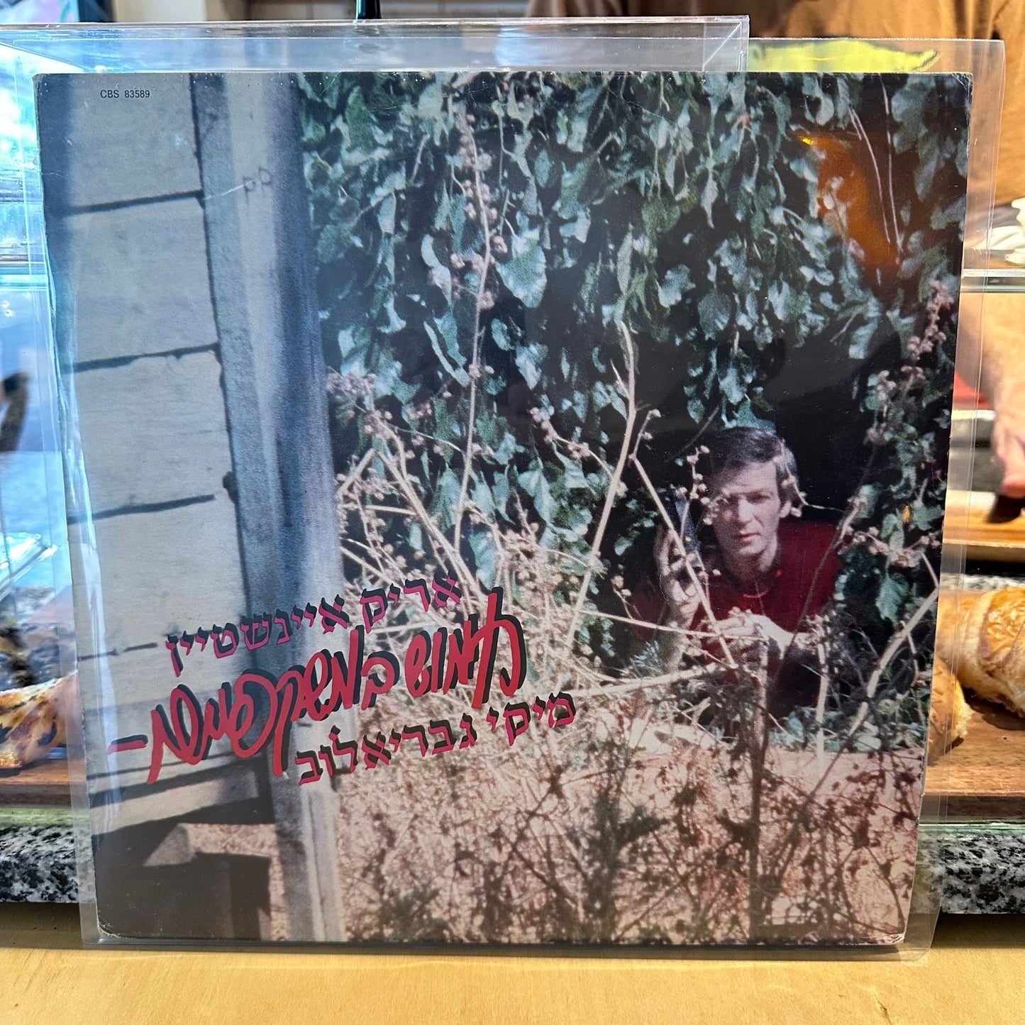 אריק איינשטיין מיקי גבריאלוב - חמוש במשקפיים