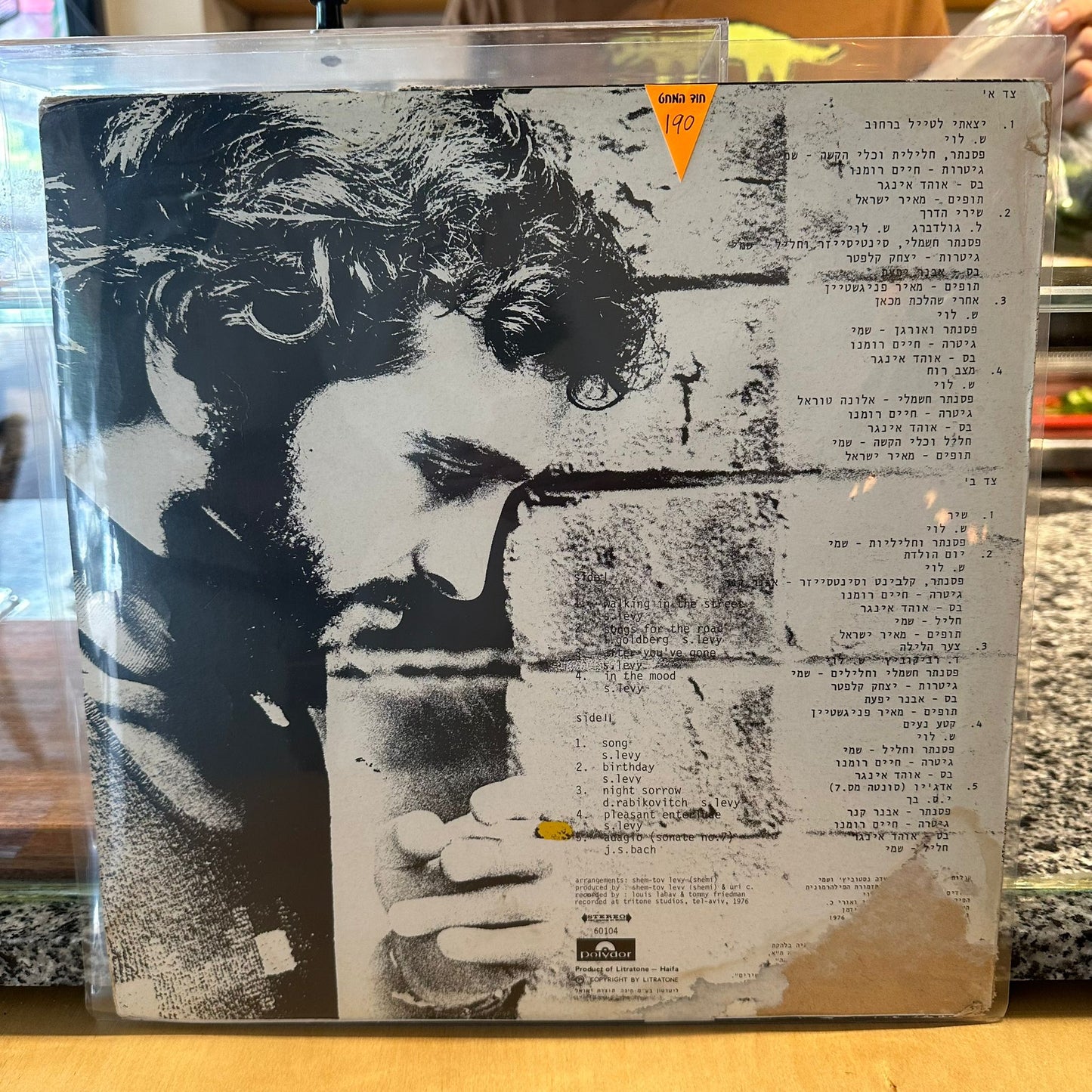 שם טוב לוי - מצב רוח