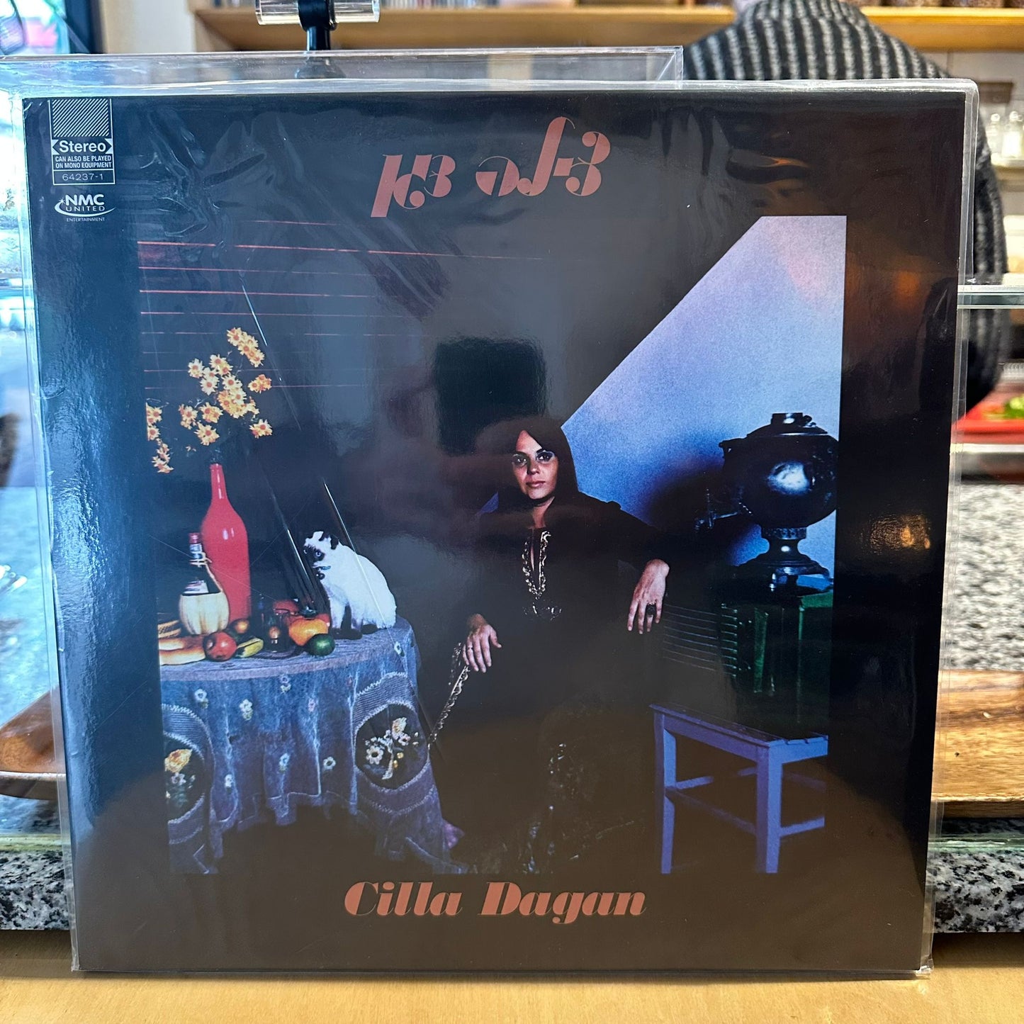 צילה דגן - צילה דגן