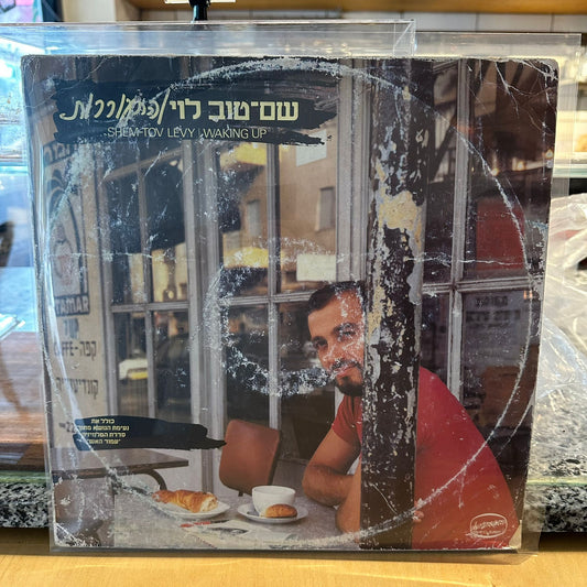 שם טוב לוי - התעוררות