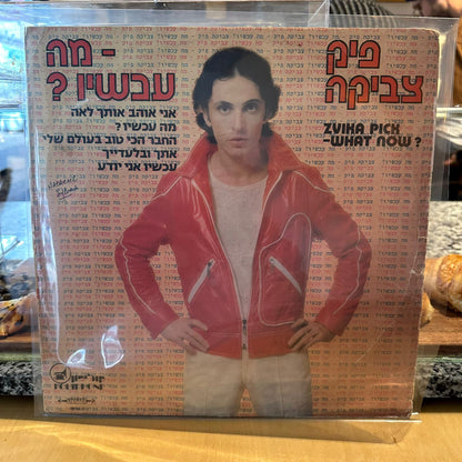 צביקה פיק - מה עכשיו?