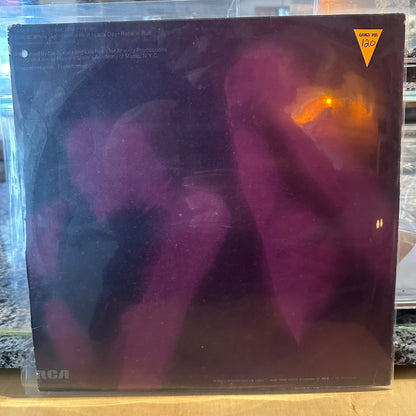 Lou Reed - Rock N Roll Animal