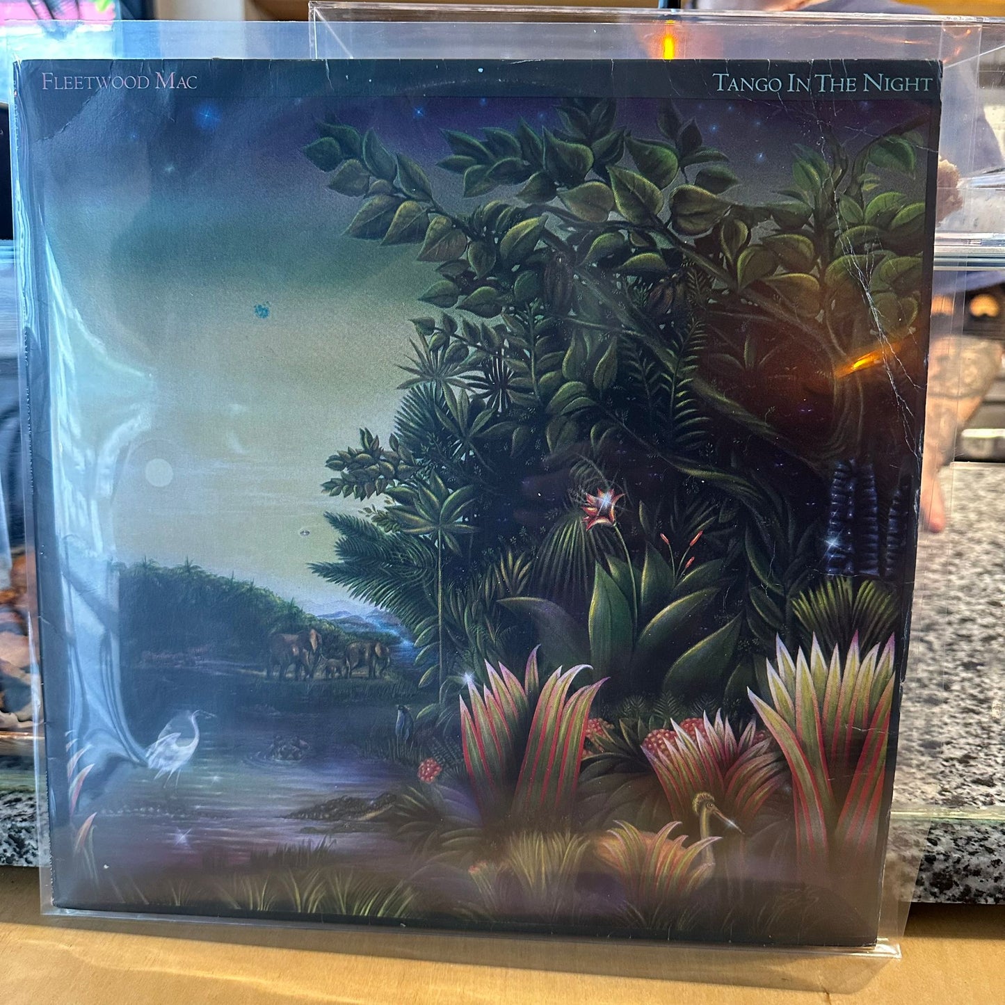 Fleetwood Mac - Tango In The Night