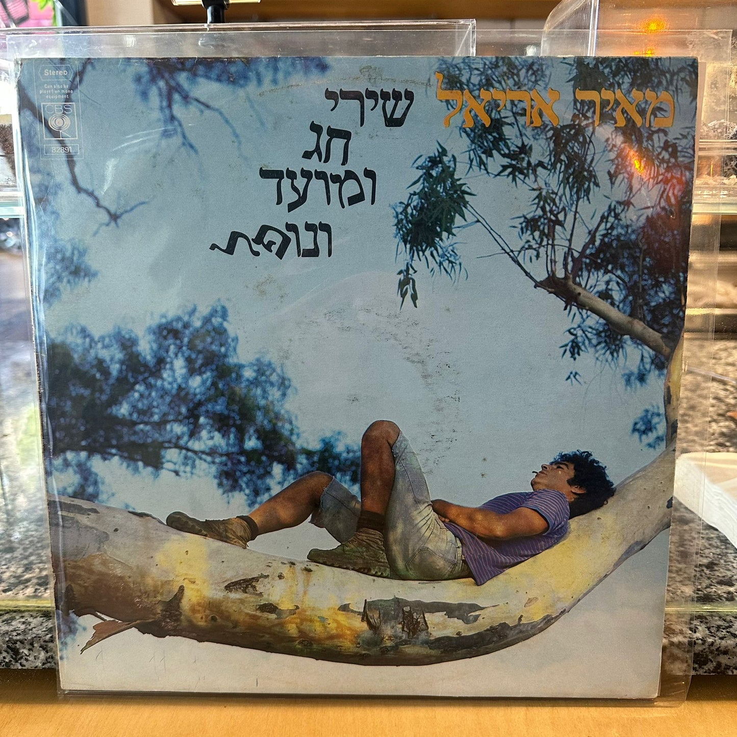 מאיר אריאל - שירי חג ומועד ונופל