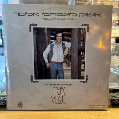 אושיק לוי - איפה טעינו