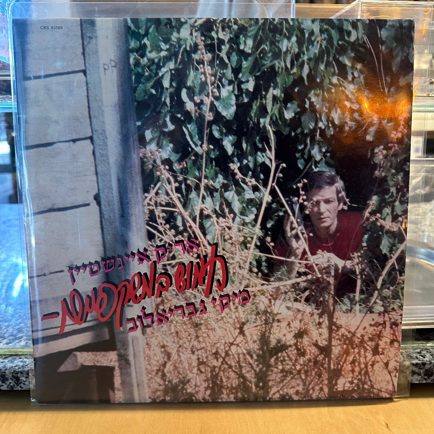 אריק איינשטיין מיקי גבריאלוב - חמוש במשקפיים