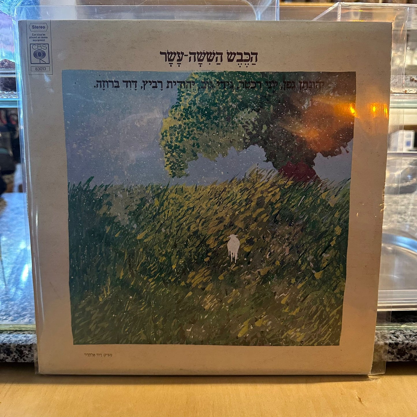 הכבש הששה עשר - הכבש הששה עשר