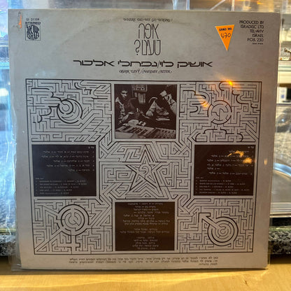 אושיק לוי - איפה טעינו