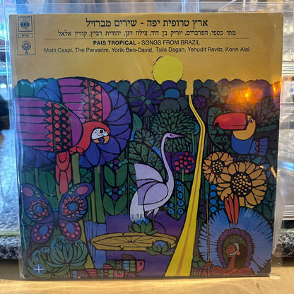 מתי כספי הפרברים יוריק בן דוד מילה דגן יהודית רביץ קורין אלאל - ארץ טרופית יפה שירים מברזיל
