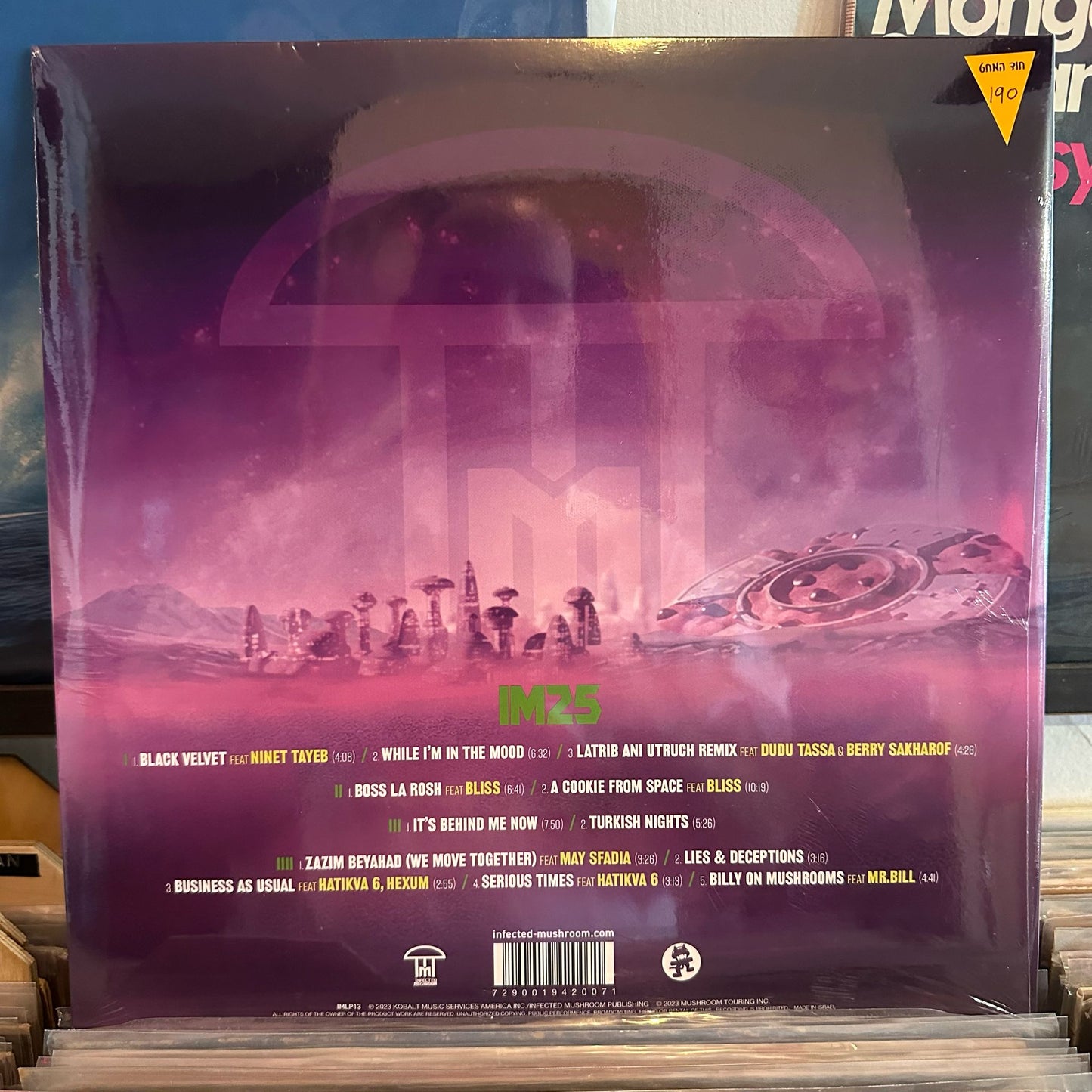 Infected Mushroom - IM 25
