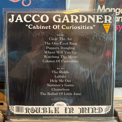 Jacco Gardner - Cabinet Of Curiosities