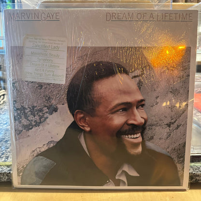 Marvin Gaye - Dream Of A Lifetime