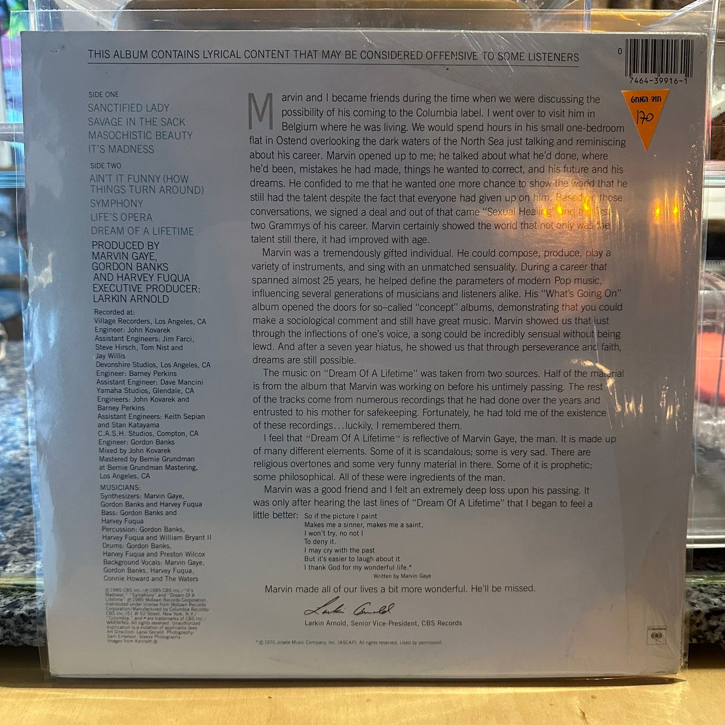 Marvin Gaye - Dream Of A Lifetime