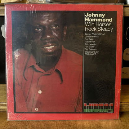 Johnny Hammond - Wild Horses Rock Steady
