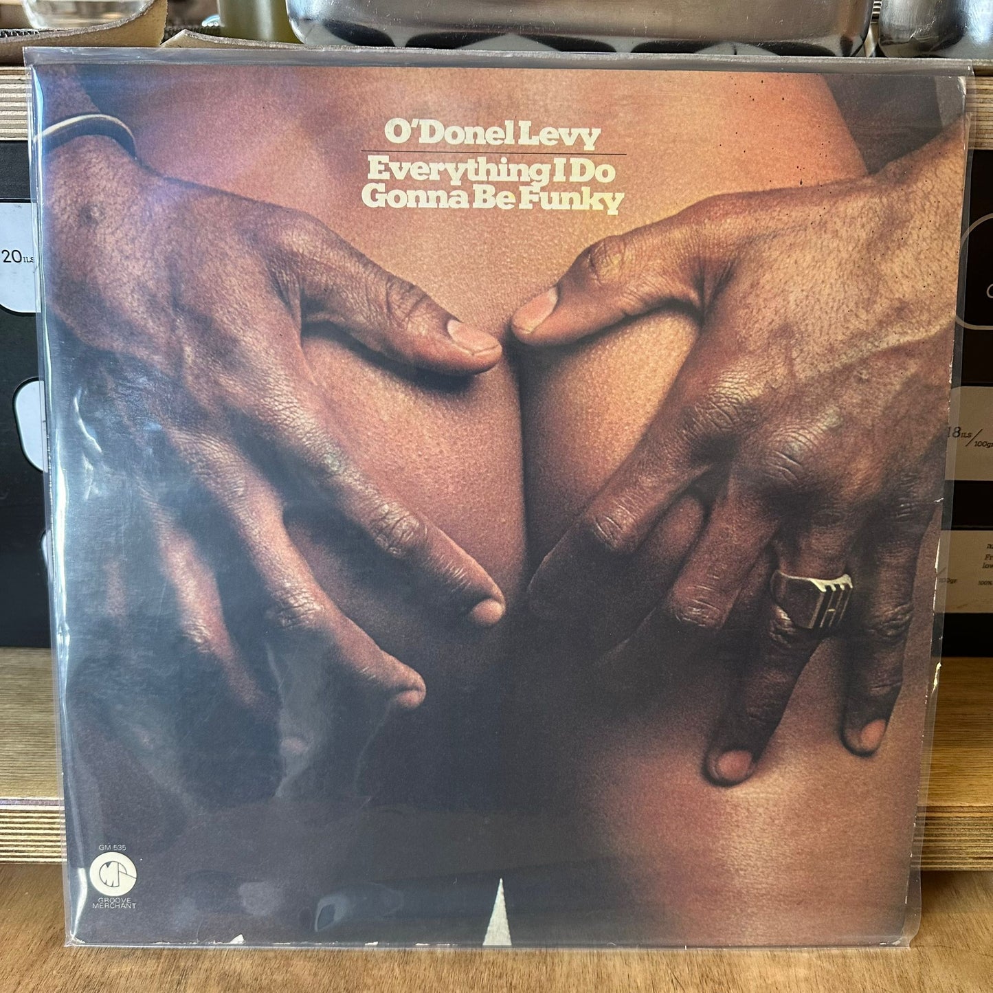 O'Donel Levy - Everything I Do Gonna Be Funky