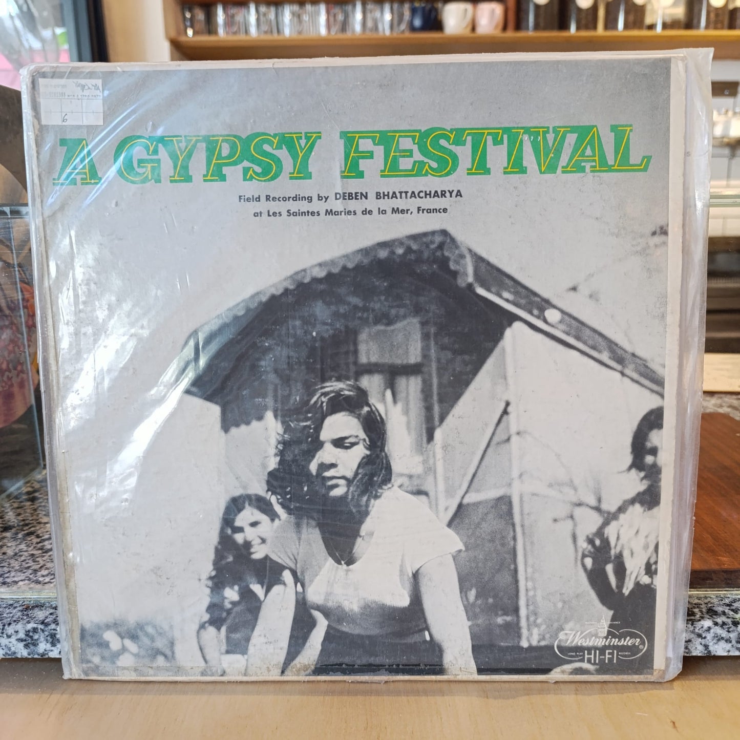 Deben Bhattacharya - A Gypsy Festival