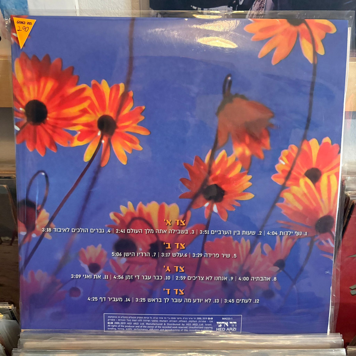 שלמה ארצי - אהבתיהם